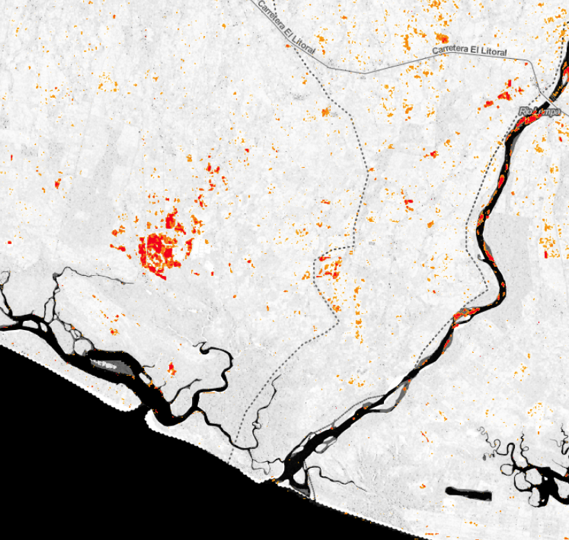 Forest Monitoring